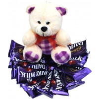 Bear and Chocolate